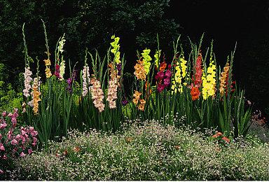 《夜勤人》主创给大家拜年啦！工作室新作《灾厄堡垒》发布中配预告片